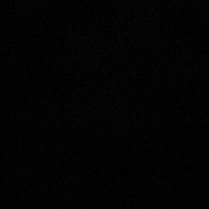 Meet your Posher, Lareesa